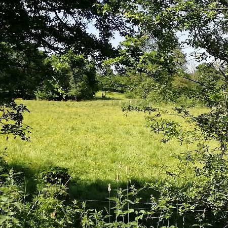 Gite Le Moulin Saint-Vaast-sur-Seulles 外观 照片