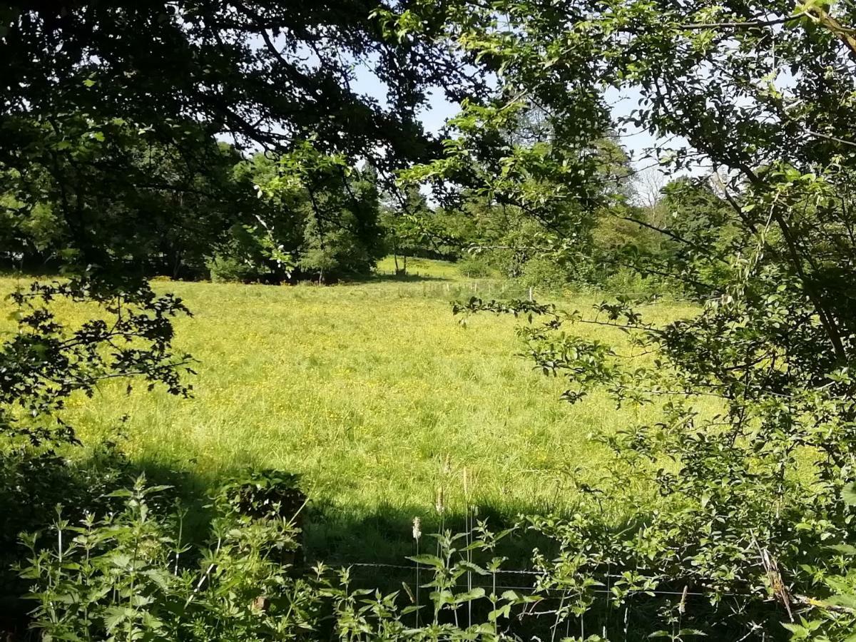 Gite Le Moulin Saint-Vaast-sur-Seulles 外观 照片